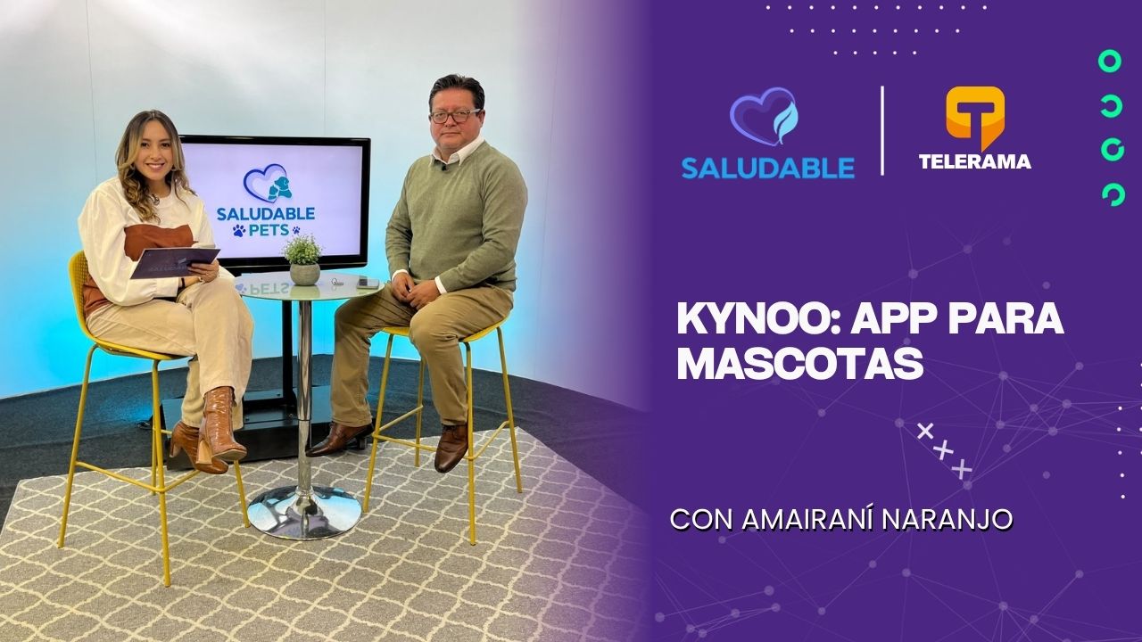 Kynoo: app para mascotas